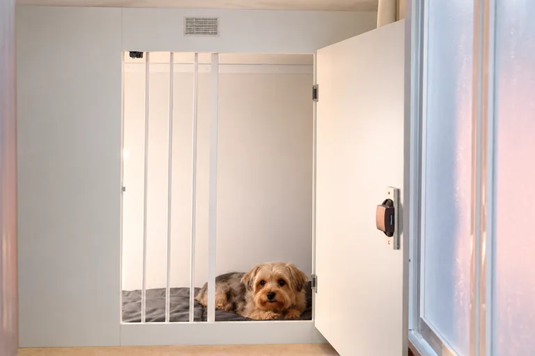 Perro pequeño en la zona trasera de carga de una camper, asegurado tras una reja separadora
